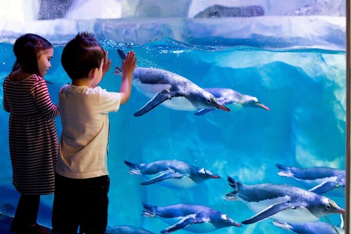 Inside SEA LIFE Paris Val d'Europe: Practical Guide to the Aquarium Experience
