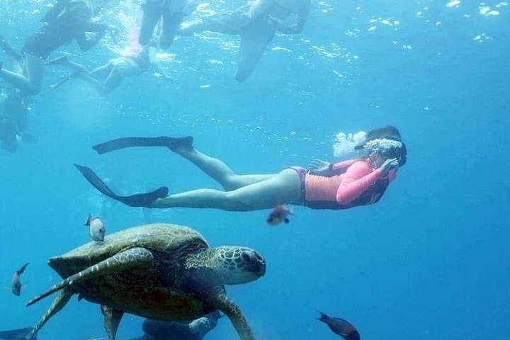 Full-Day Snorkeling to Utopia Island from Luxor — Red Sea Glass-Bottom Cruise photo 4