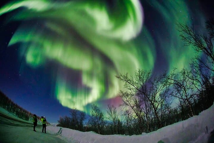 Chase the Northern Lights from Tromsø: Minivan Aurora Photo Excursion photo 4