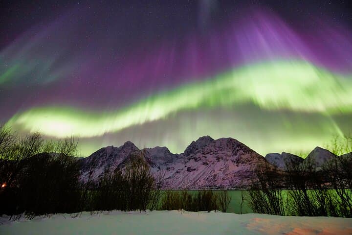 Chase the Northern Lights from Tromsø: Minivan Aurora Photo Excursion photo 6