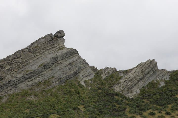 Private South Wairarapa Day Tour: Cape Palliser, Martinborough Wineries & Seal Colony photo 3
