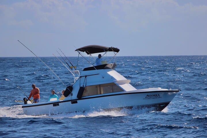 Offshore Fishing Charter in Cancun: Bertram 31ft Private Trips Around Isla Mujeres photo 2
