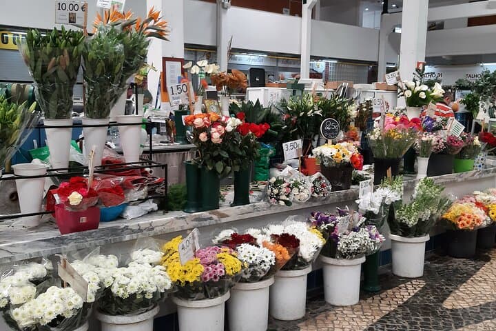 Private Full-Day Tour: Tiles Factory, Setúbal Coast & Évora from Lisbon photo 3