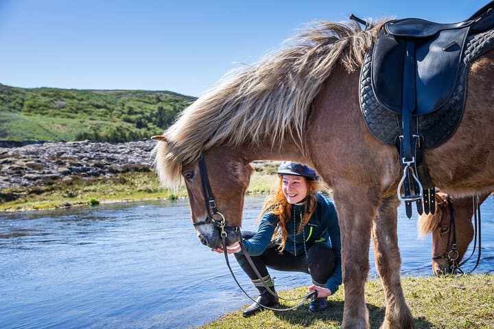 Ride Icelandic Horses and Chase Whales: Day Tour from Reykjavik photo 4