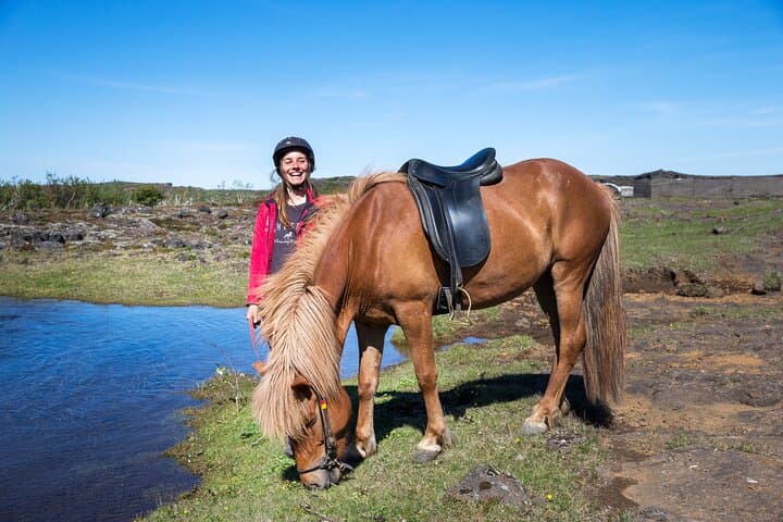 Ride Icelandic Horses and Chase Whales: Day Tour from Reykjavik photo 3