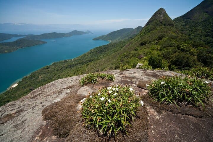 Mamangua Sugarloaf Peak Hike & Fjord Boat Tour from Paraty photo 6