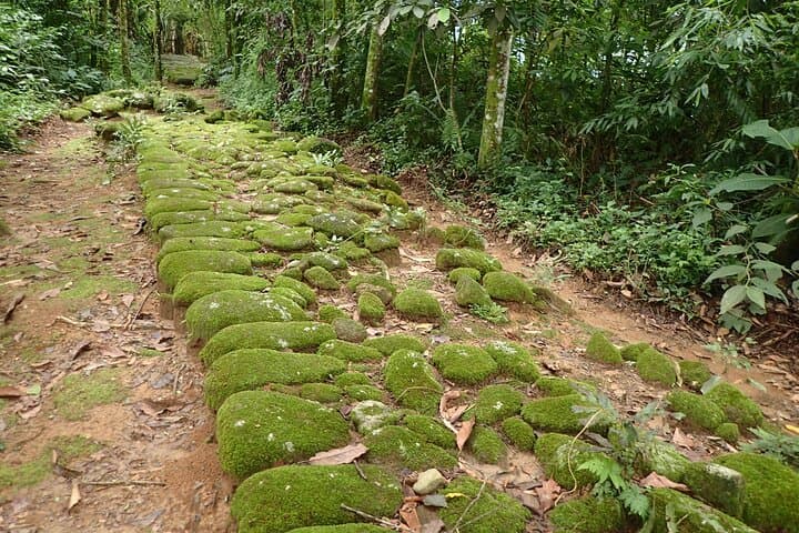 Hiking the Gold Trail: Paraty's Historic Atlantic Forest Walk photo 5