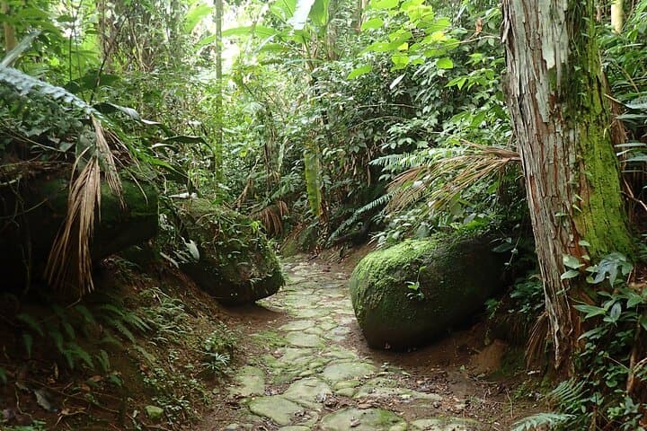 Hiking the Gold Trail: Paraty's Historic Atlantic Forest Walk photo 4
