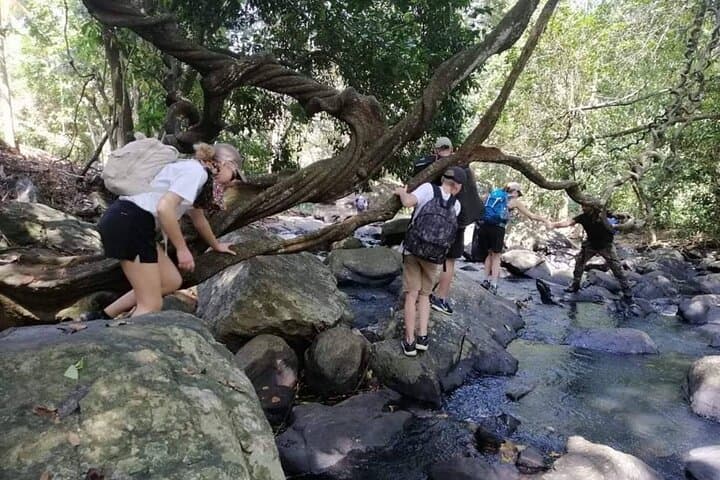 Knuckles Mountain Range Trek: 4-Day Trekking and Wildlife Circuit from Colombo photo 4