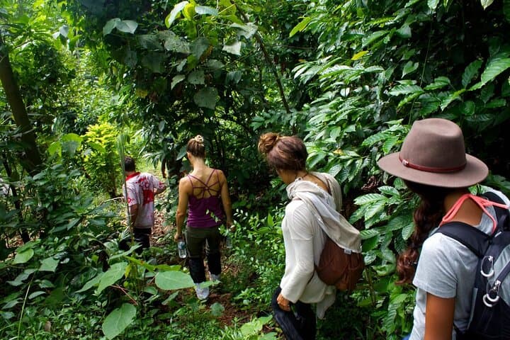 Knuckles Mountain Range Trek: 4-Day Trekking and Wildlife Circuit from Colombo photo 2
