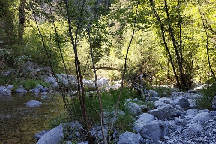 Enipeas Gorge Half-Day Hike on Mount Olympus from Litochoro photo 6