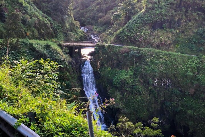 Reverse Road to Hana: Full-Circle Luxury Tour from West Maui photo 3