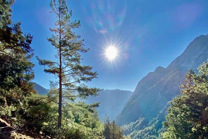 Hike Samaria Gorge: Full-Day Trek from Chania to Agia Roumeli photo 6