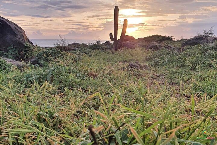 Sunrise Hike and Beach Meditation on Aruba’s North Coast photo 3