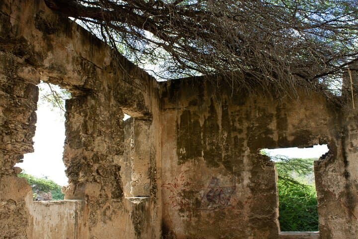 Spanish Lagoon Mangrove Trail: Aruba Bird-Watching & Historic Gold Ruins Walk photo 5