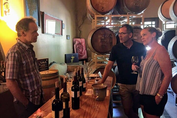 Private Willamette Valley Character Winery Tour: Small-Group Tastings & Vineyard Views photo 5
