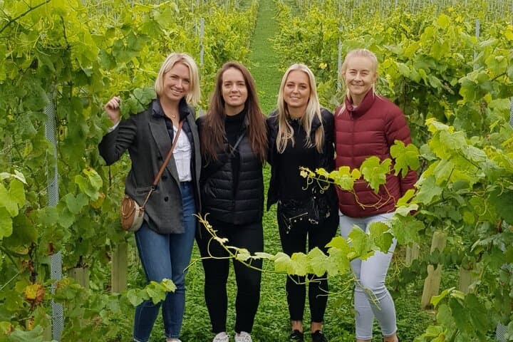 Oastbrook Vineyard Owner Tour & Wine Tasting — Kent Wine Experience