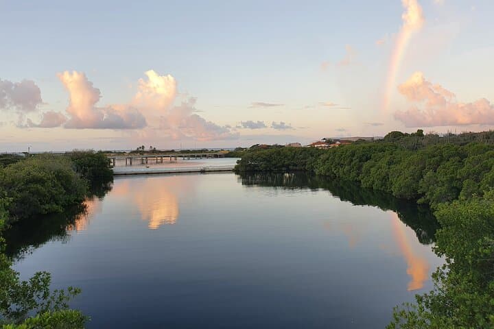 Spanish Lagoon Mangrove Trail: Aruba Bird-Watching & Historic Gold Ruins Walk photo 4