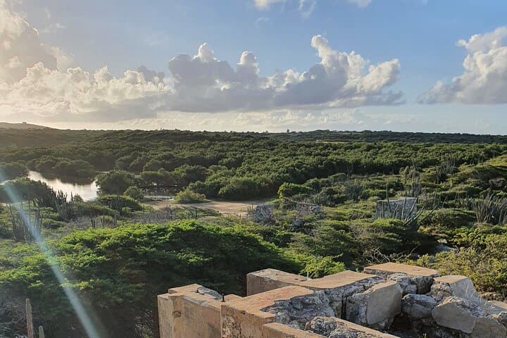 Spanish Lagoon Mangrove Trail: Aruba Bird-Watching & Historic Gold Ruins Walk photo 2