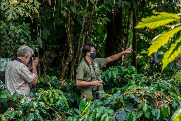 Sloth Watching Tour in La Fortuna — Arenal's Daytime Wildlife Walk photo 4