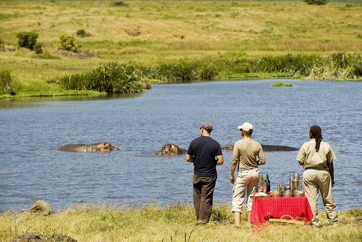 Ngorongoro Crater Safari & Mandara Hut Day Hike — 2-Day Midrange Lodge Adventure photo 2