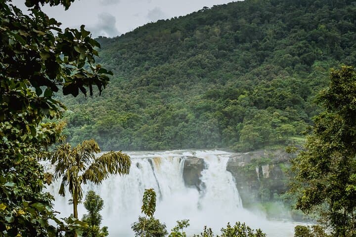 Athirapally Waterfalls Day Trip from Kochi — Private Transfer & Falls Visit photo 2