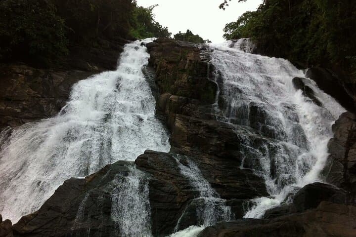 Athirapally Waterfalls Day Trip from Kochi — Private Transfer & Falls Visit photo 3