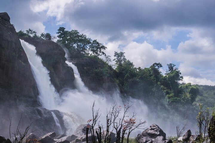 Athirapally Waterfalls Day Trip from Kochi — Private Transfer & Falls Visit photo 4