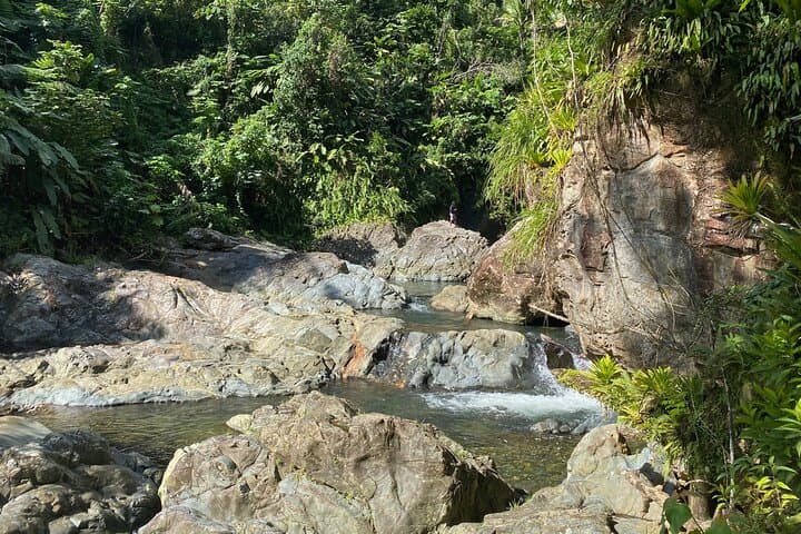 Fajardo’s Farjado River Half-Day: Swim, Slide and Local Eats in El Yunque photo 6