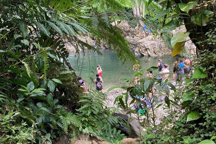 Fajardo’s Farjado River Half-Day: Swim, Slide and Local Eats in El Yunque photo 3