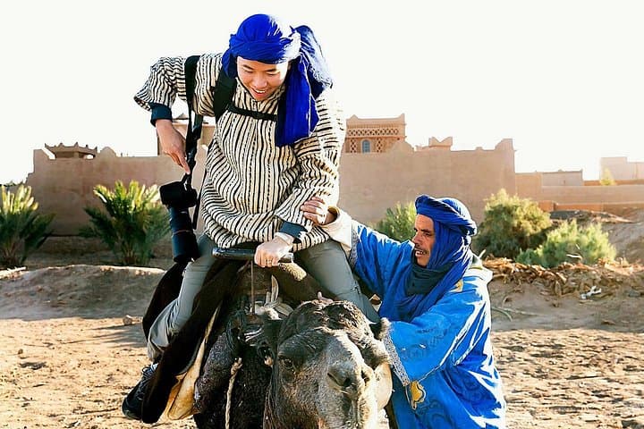 Day Trip to Marrakesh from Casablanca: Guided City Tour & Camel Ride