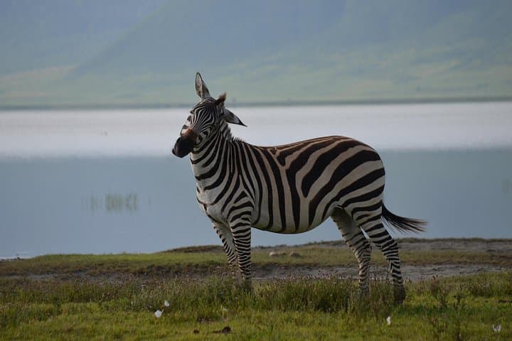 4-Day Private Safari: Serengeti, Ngorongoro & Tarangire photo 2