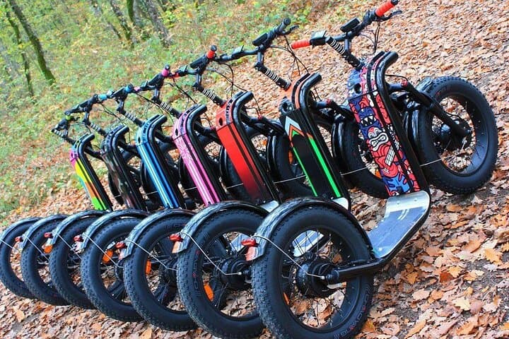 Seignosse Electric Scooter Excursion: Fat-Wheel Rides Through the Landes Forest photo 3