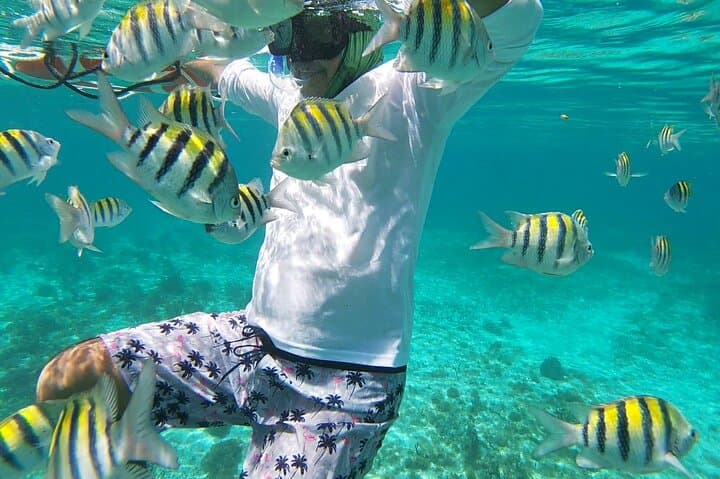 Isla Mujeres Underwater Museum Snorkel: Explore MUSA and El Farito Reefs photo 5