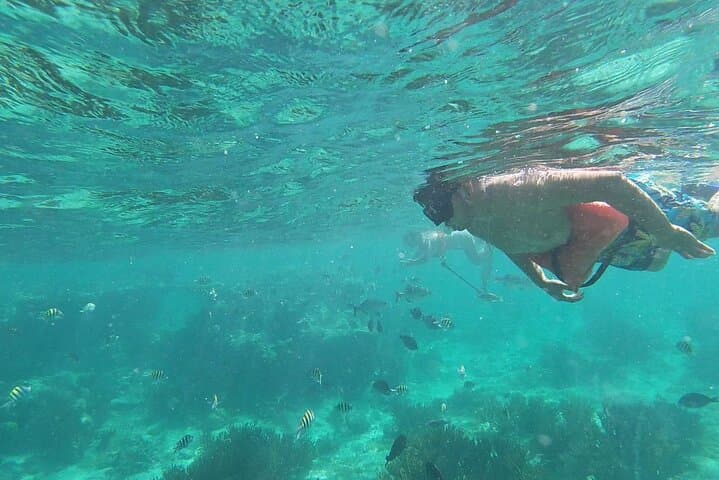 Isla Mujeres Underwater Museum Snorkel: Explore MUSA and El Farito Reefs