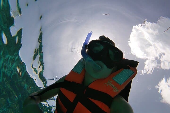 Isla Mujeres Underwater Museum Snorkel: Explore MUSA and El Farito Reefs photo 4