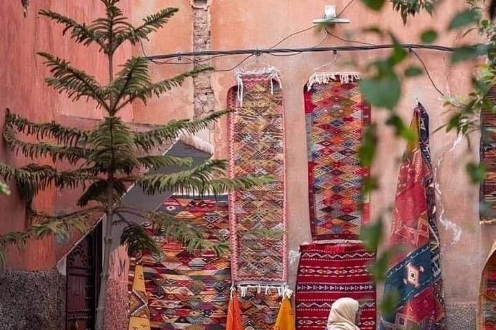Day Trip to Marrakesh from Casablanca: Guided City Tour & Camel Ride photo 5
