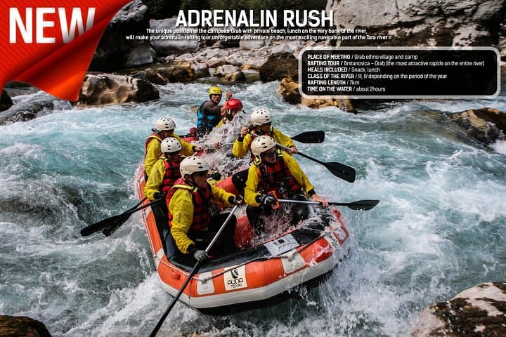 Rafting Adrenalin on the Tara River: 7km Whitewater from Brstanovica to Grab