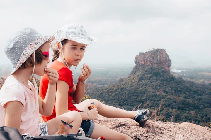 Sigiriya Day Tour from Negombo — Climb Lion Rock, Dambulla & Spice Gardens photo 3