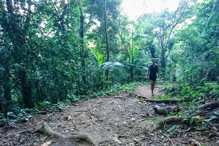 Hike to Lopes Mendes Beach, Ilha Grande — Private Full-Day Trek with Boat Return photo 5