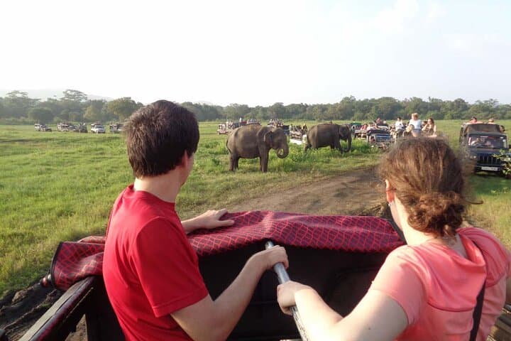 Sri Lanka 18-Day Wildlife & Nature Expedition — Whales, Elephants and Cultural Sites photo 2