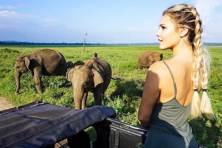 Sri Lanka 18-Day Wildlife & Nature Expedition — Whales, Elephants and Cultural Sites photo 3