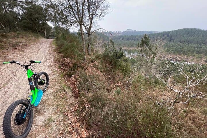 Seignosse Electric Scooter Excursion: Fat-Wheel Rides Through the Landes Forest photo 4
