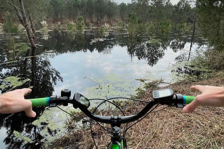 Seignosse Electric Scooter Excursion: Fat-Wheel Rides Through the Landes Forest