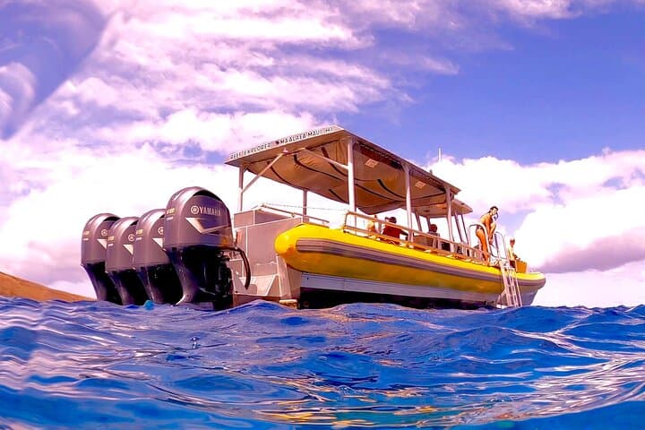 Molokini Crater Zodiac Snorkel & Turtle Cove Swim — Maui Small-Boat Adventure photo 2
