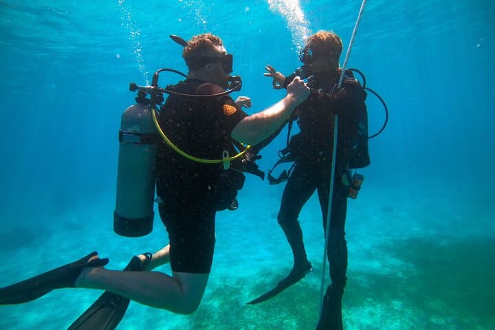Discover Culebra: 2-Tank Scuba Diving from Fajardo — PADI Intro Dive photo 5
