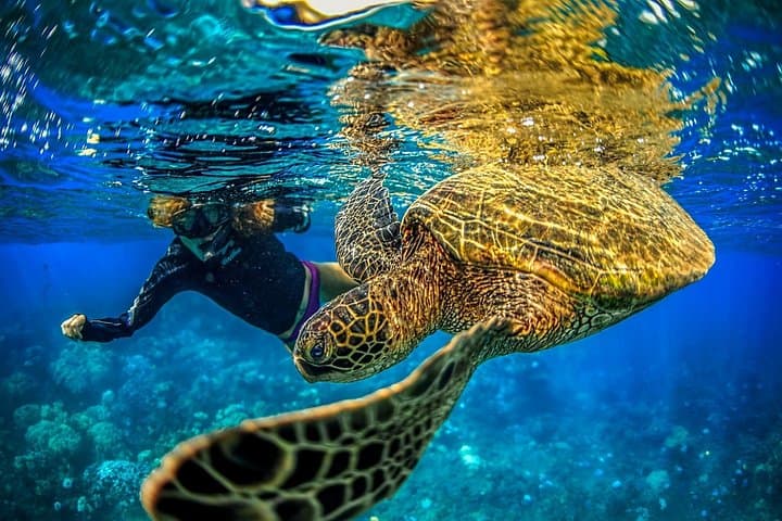 Private Super Raft Snorkel to Molokini & Coral Gardens — Maui 3-Hour Charter photo 3