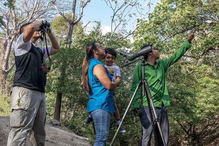 Guanacaste Rural Rainforest Experience: Guided Walk at Finca Los Wilas