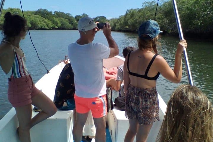Tamarindo River Boat Tour: Mangrove Wildlife Cruise from Tamarindo photo 3