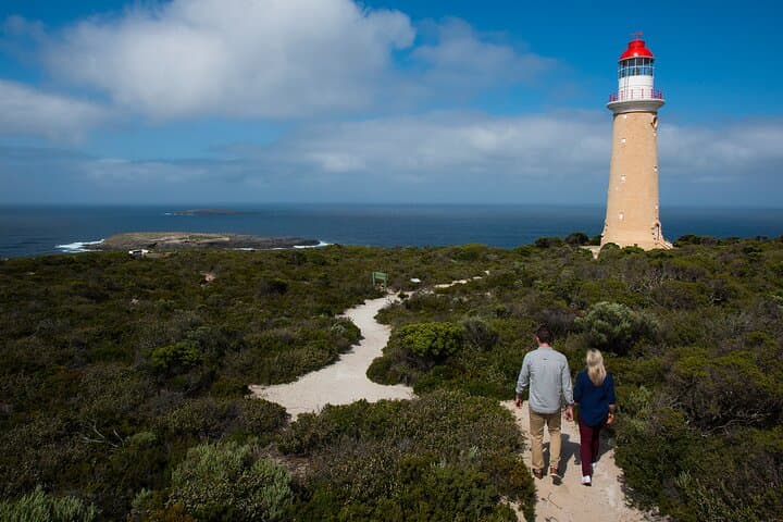Full-Day Kangaroo Island Highlights: Seal Bay, Remarkable Rocks & Admirals Arch photo 3